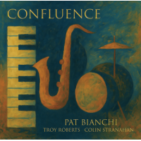Confluence (2026) by Pat Bianchi