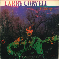 Offering by Larry Coryell