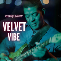 Read "Velvet Vibe" reviewed by Acacia Grace