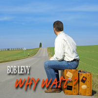 Why Wait? by Bob Levy