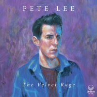 The Velvet Rage by Pete Lee