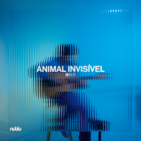 Guri Assis Brasil: Animal Invis&iacute;vel - Animal Invis&iacute;vel