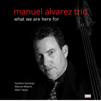 What We Are Here For by Manuel Alvarez