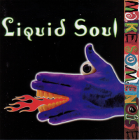 Make Some Noise by Liquid Soul