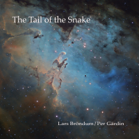 The Tail of the Snake by Per Gärdin