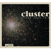 cluster by Silvan Joray