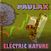 Electric Nature by Paul-Alexandre Meurens