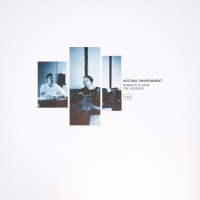 Roberto Di Gioia &amp; Tim Lefebvre - Natural Environment by Roberto Di Gioia