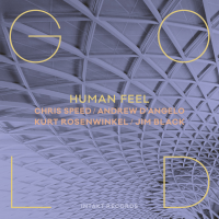 Gold by Human Feel