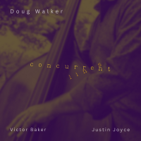 Concurrent Lines by Doug Walker
