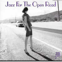 Jazz For The Open Road by Pat Martino