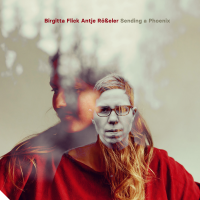 Sending a Phoenix by Birgitta Flick