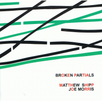 Broken Partials by Matthew Shipp