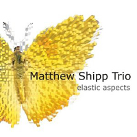 Matthew Shipp