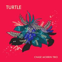 Turtle by Chase Morrin