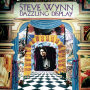 Steve Wynn: Kerosene Man and Dazzling Display