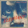 Read "Elephant"