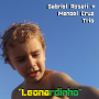 Leonardinho