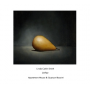 Another Timbre’s Canadian Composers Series