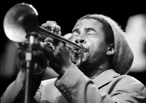 Untitled Jazz Photo