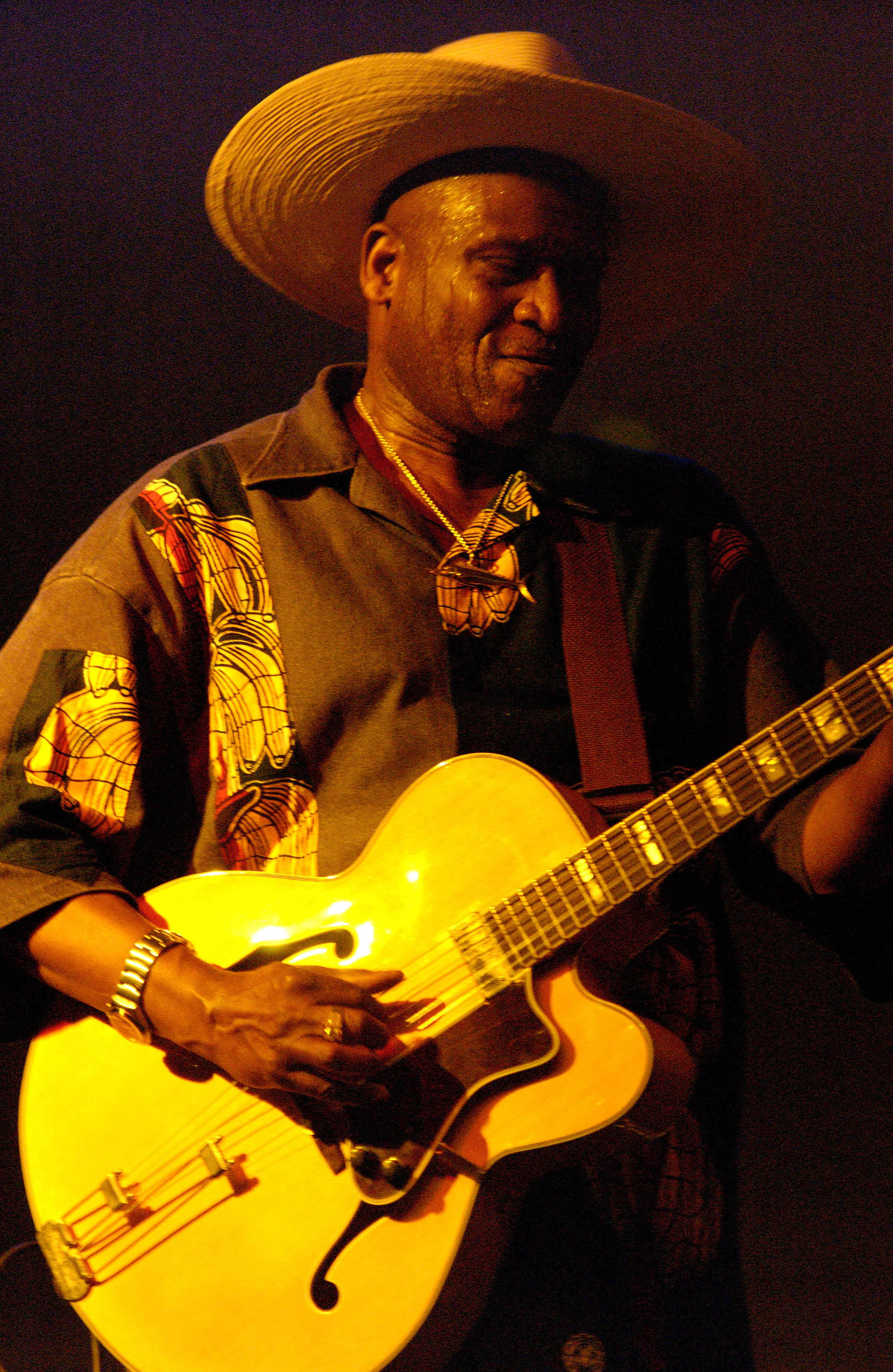 Taj Mahal--Litchfield Jazz Festival 2003, Ficusphoto, Joel S Feigenson, Jazz Images