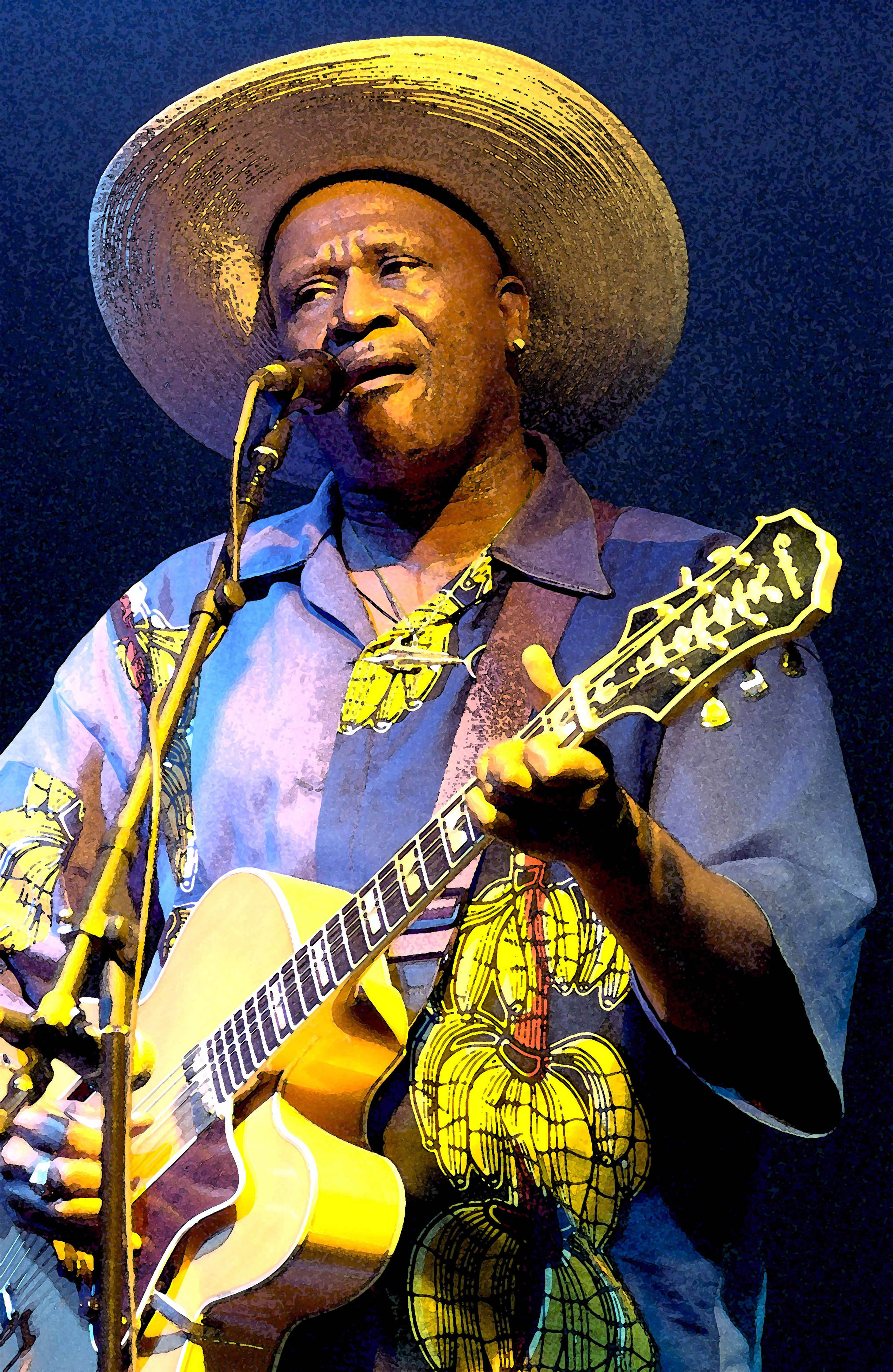 Taj Mahal--Litchfield Jazz Festival 2003, Ficusphoto, Joel S Feigenson, Jazz Images