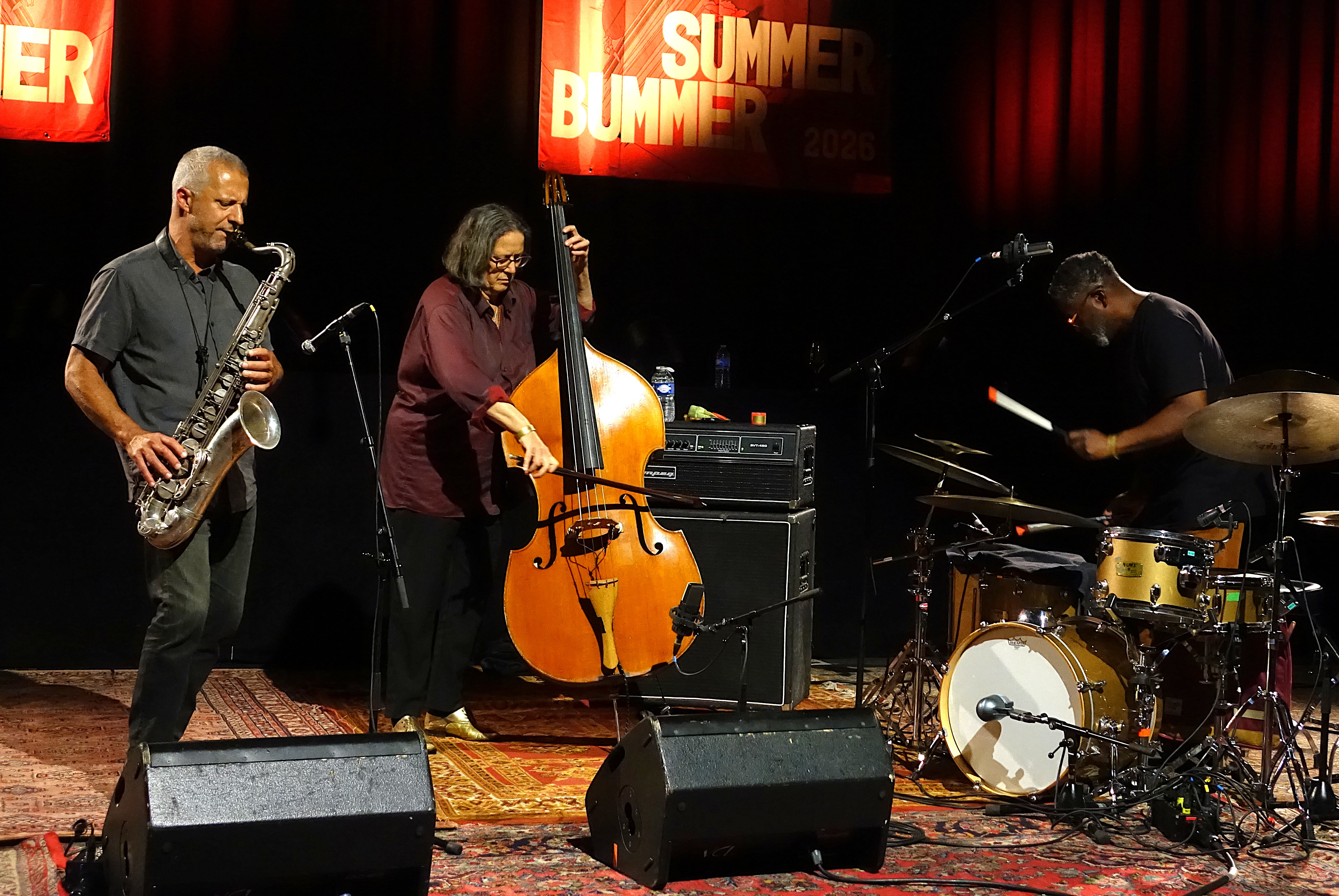 Rodrigo Amado, Joëlle Léandre and Gerald Cleaver at Summer Bummer 2026 — jazz photo by John Sharpe | All About Jazz