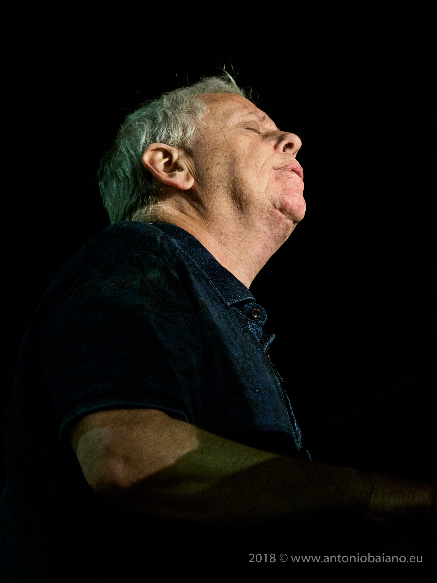 Kenny Werner - The Art of the Quartet