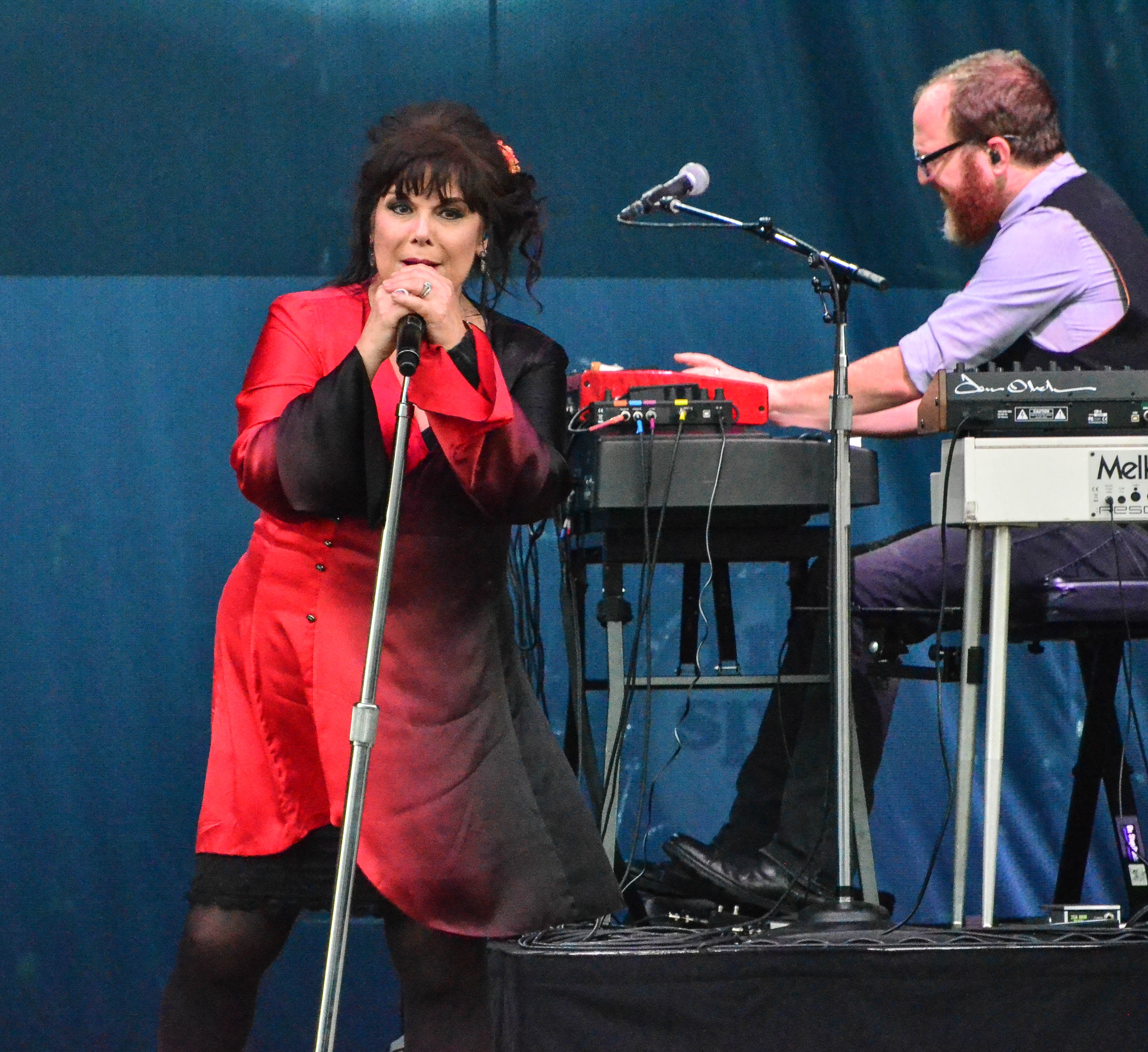 Ann Wilson at Northwell Health at Jones Beach.