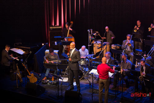 Constantijn van der Heijden - Bass