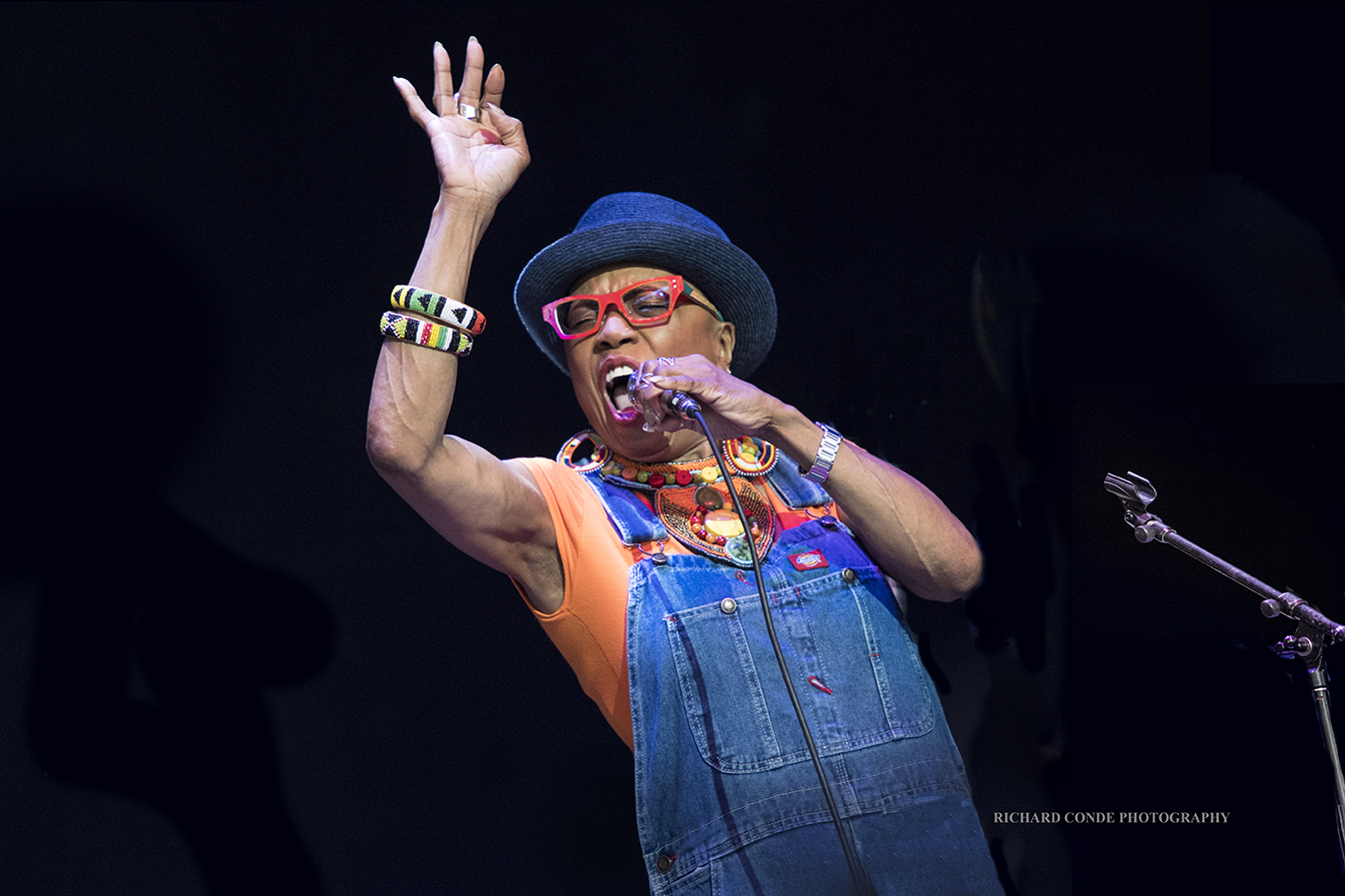 Dee Dee Bridgewater at the Freihofer Saratoga Jazz Festival 2017