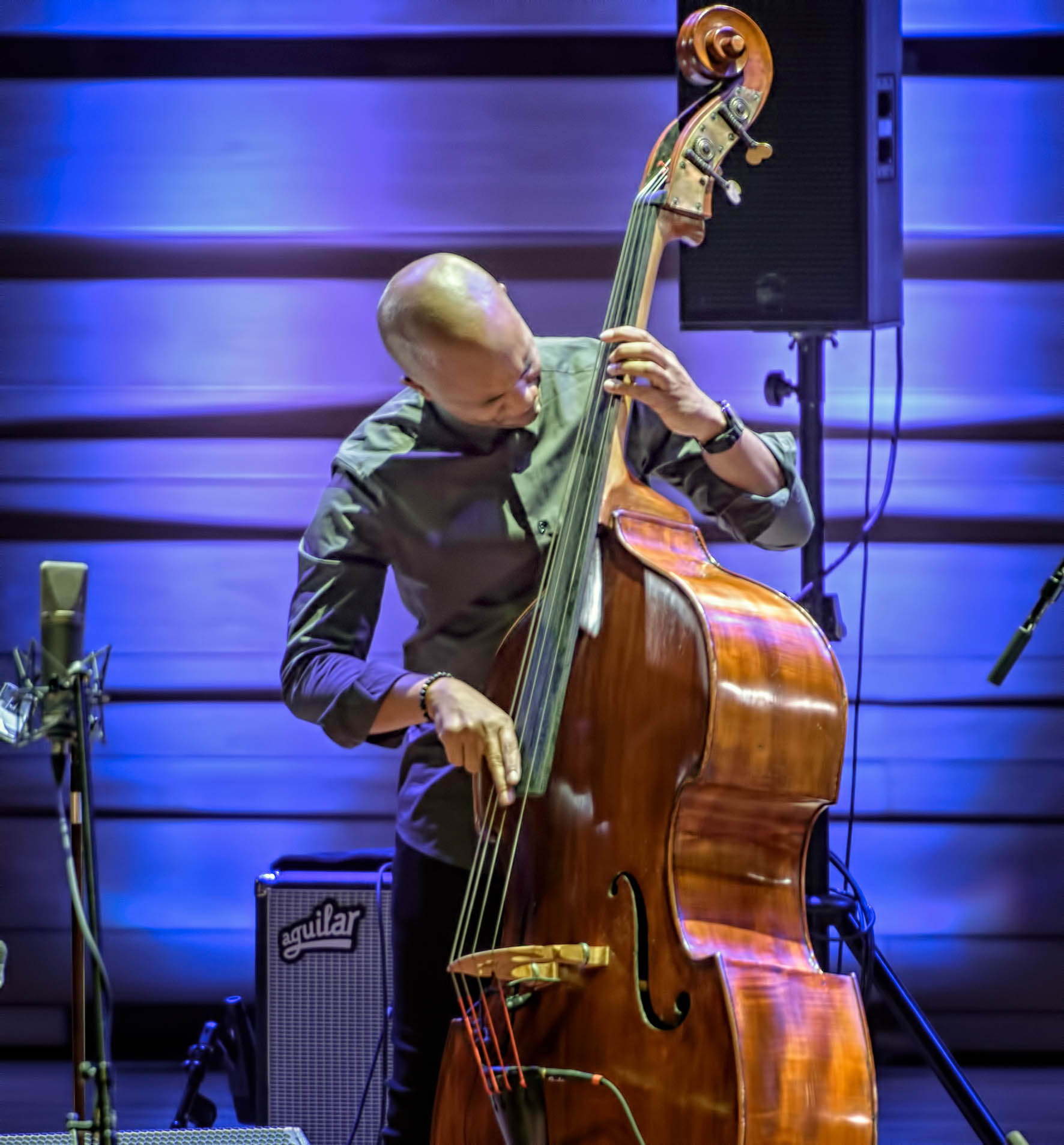 Reuben Rogers with the Charles Lloyd Quartet at The Montreal International Jazz Festival 2017