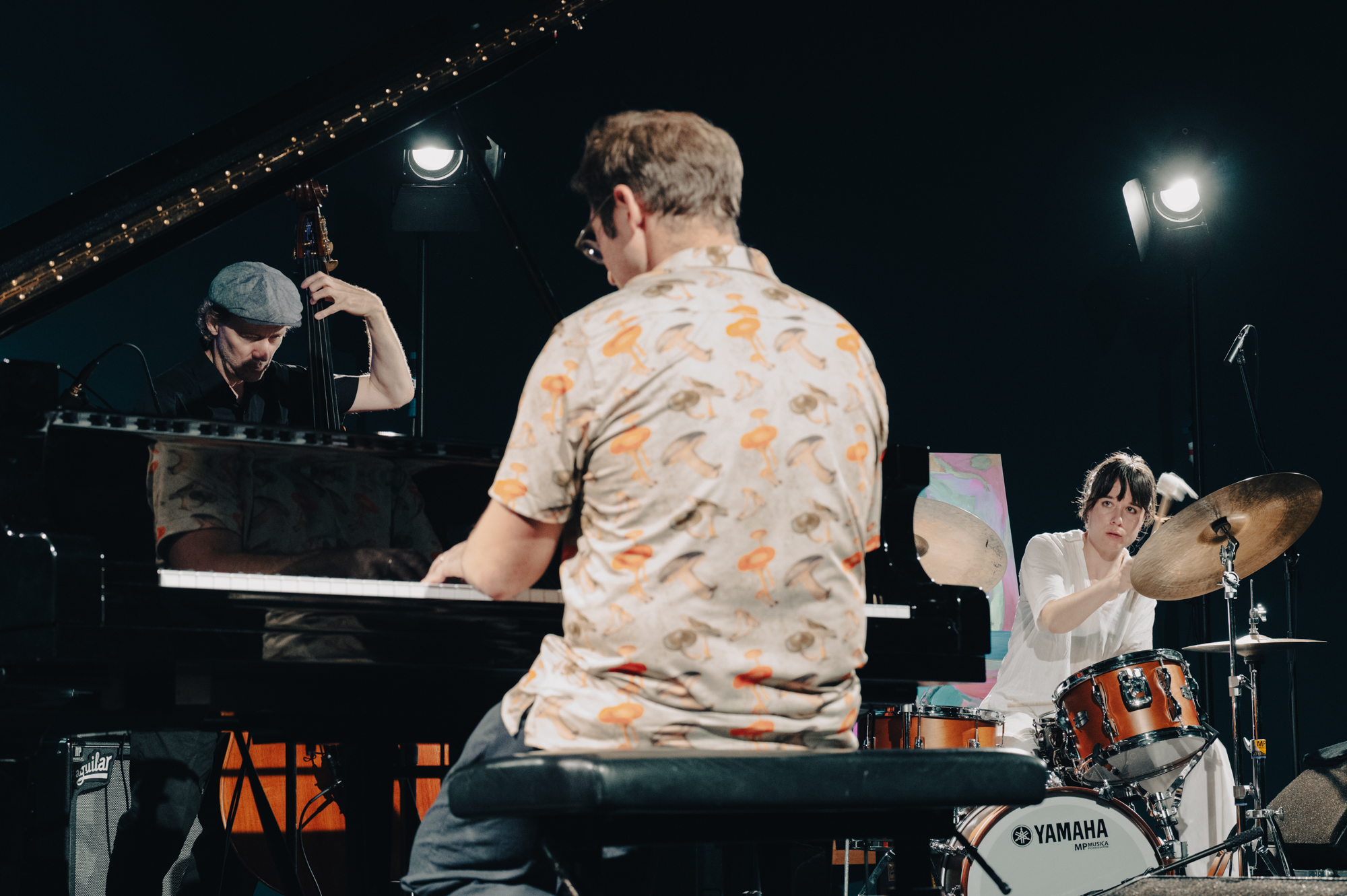 Untitled Jazz Photo — jazz photo by Andrea Rotili | All About Jazz