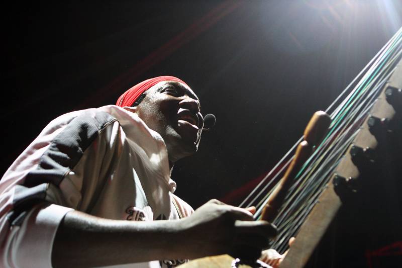 N'faly Kouyat and Dunyakan at the Open Sky Festival D'Hermance, Geneva, Switzerland, July 2006