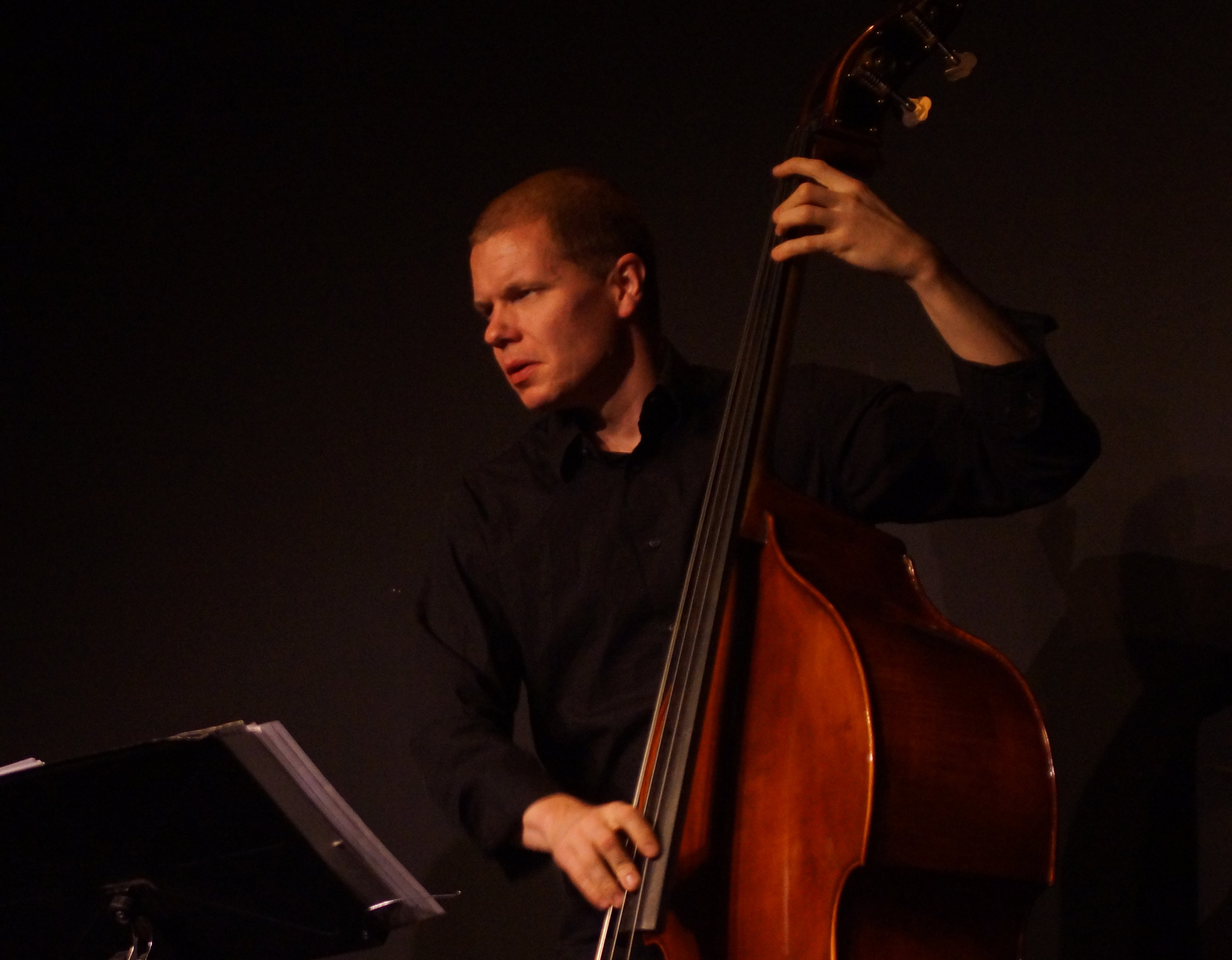 Bassist Dan Loomis