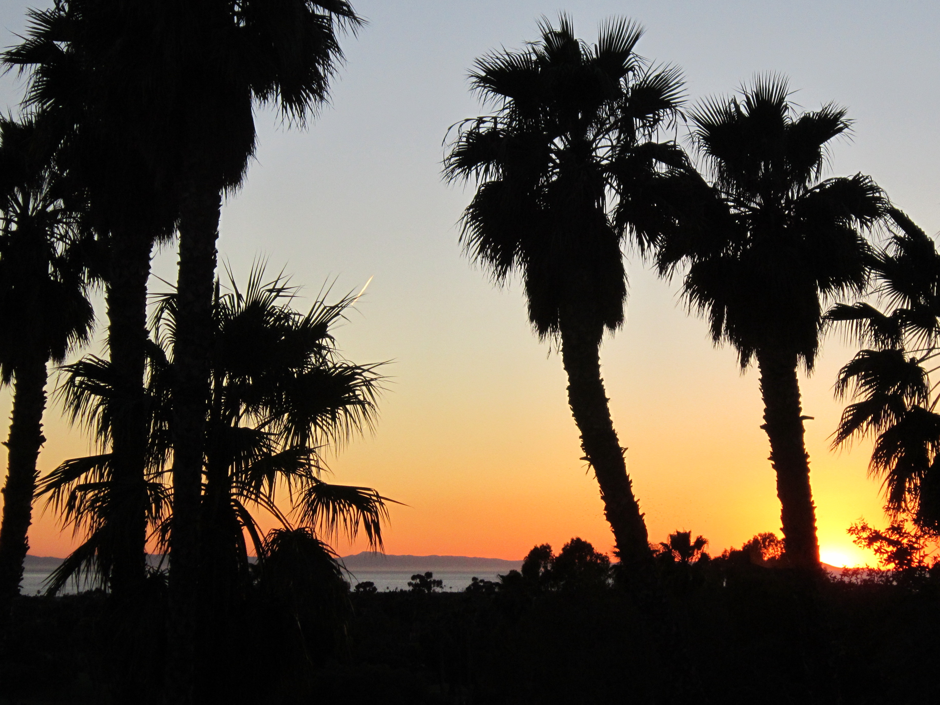 Sunset at Newport Beach Marriott Hotel