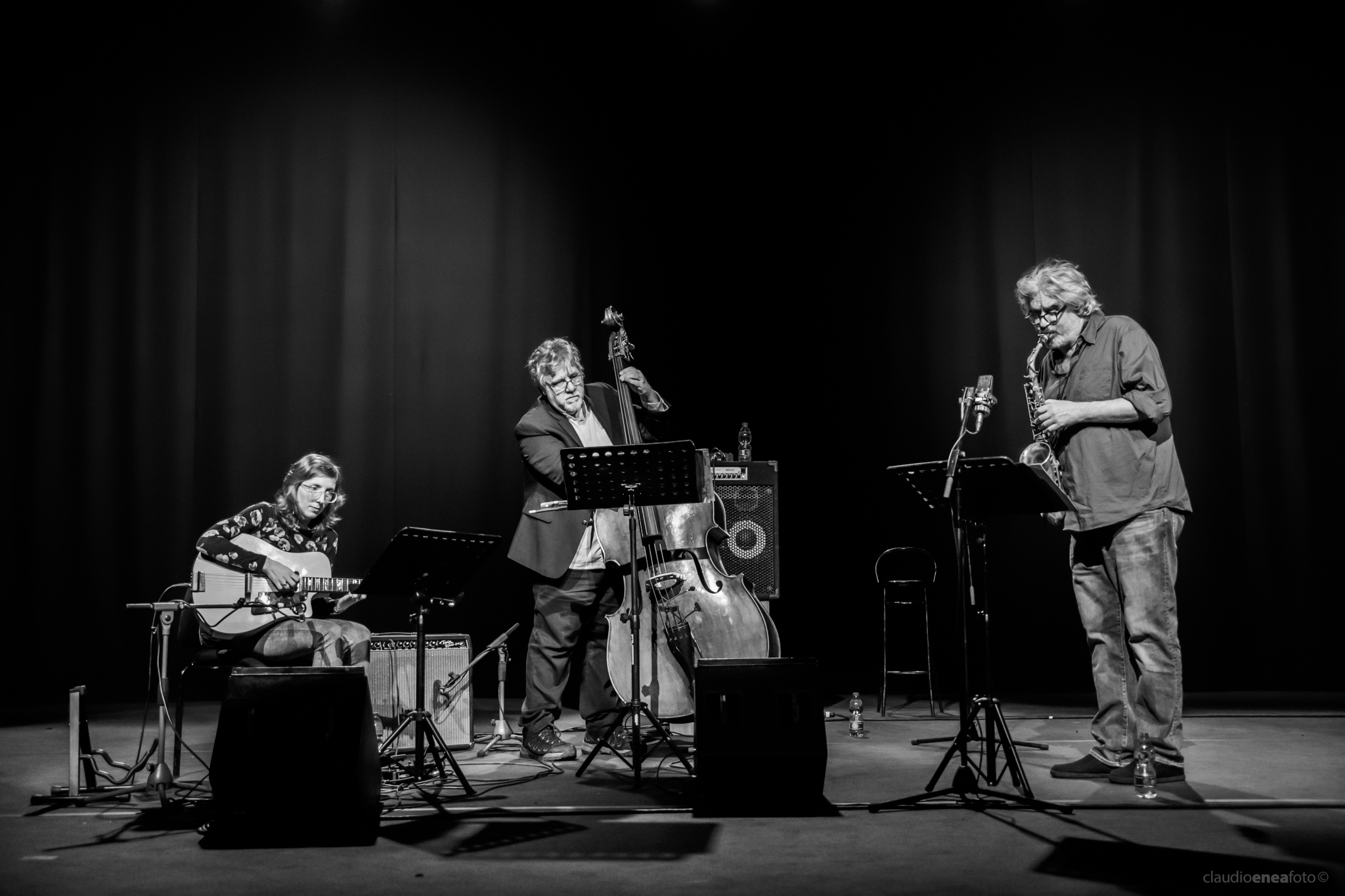 Michael Formanek's Very Pratical Trio - Auditorium Parco della Musica Roma 22.01.2019