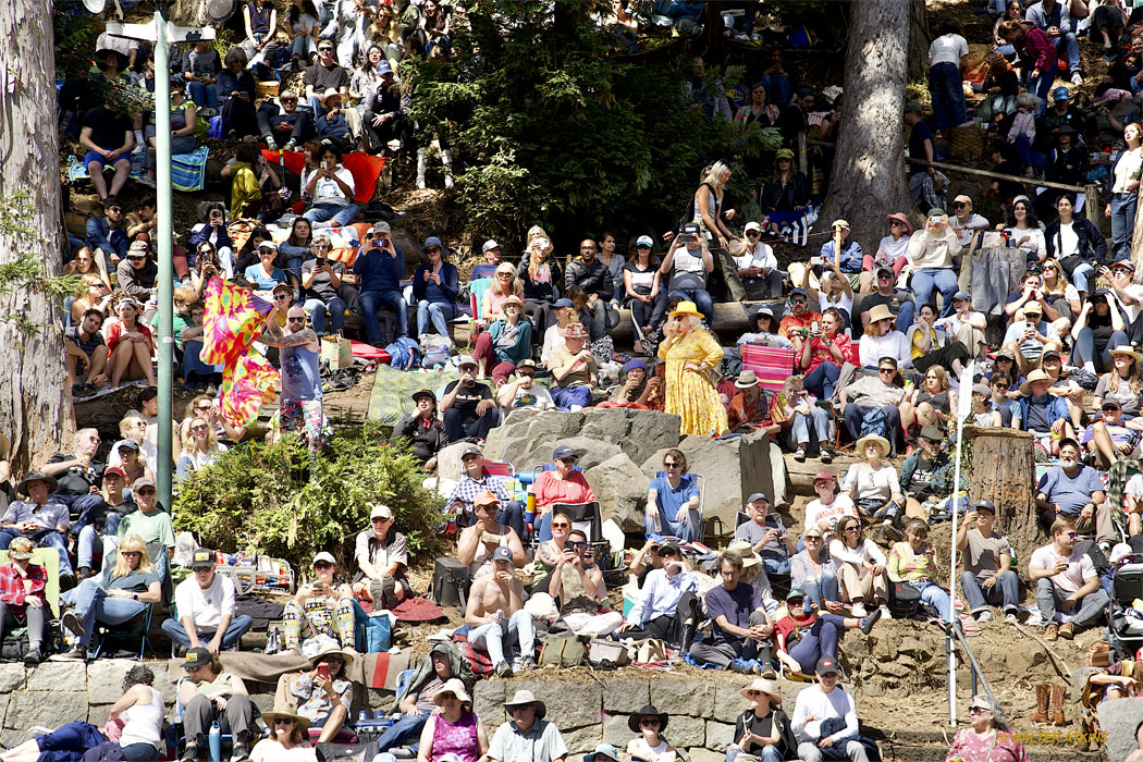 Lucinda Williams At Stern Grove 2024
