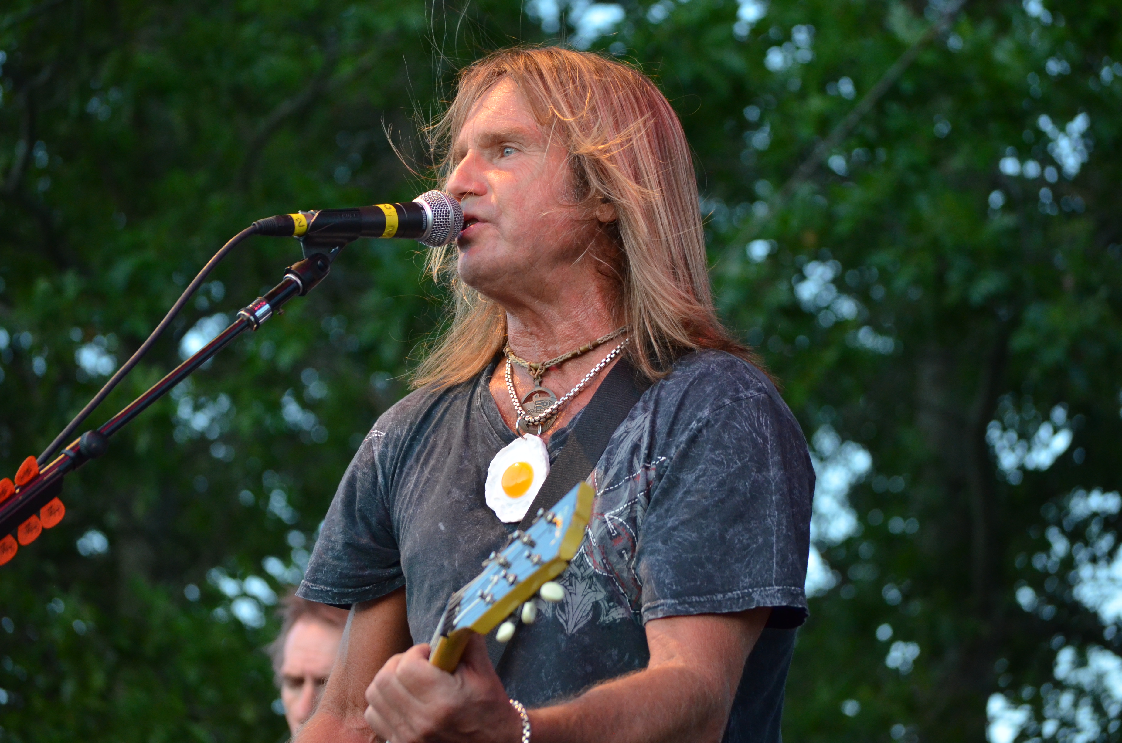 Foghat 20