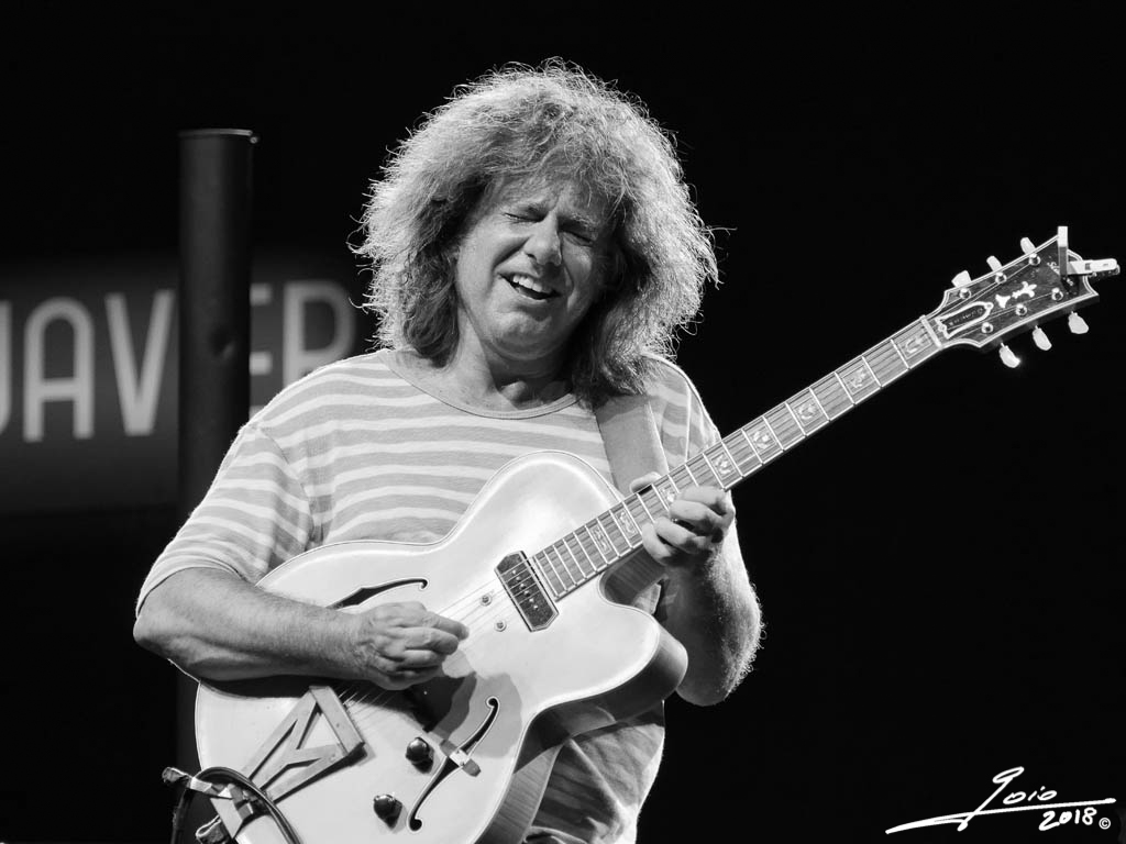 Pat Metheny-2018-(2)