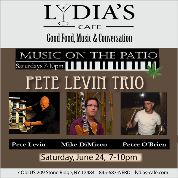 Pete Levin Trio