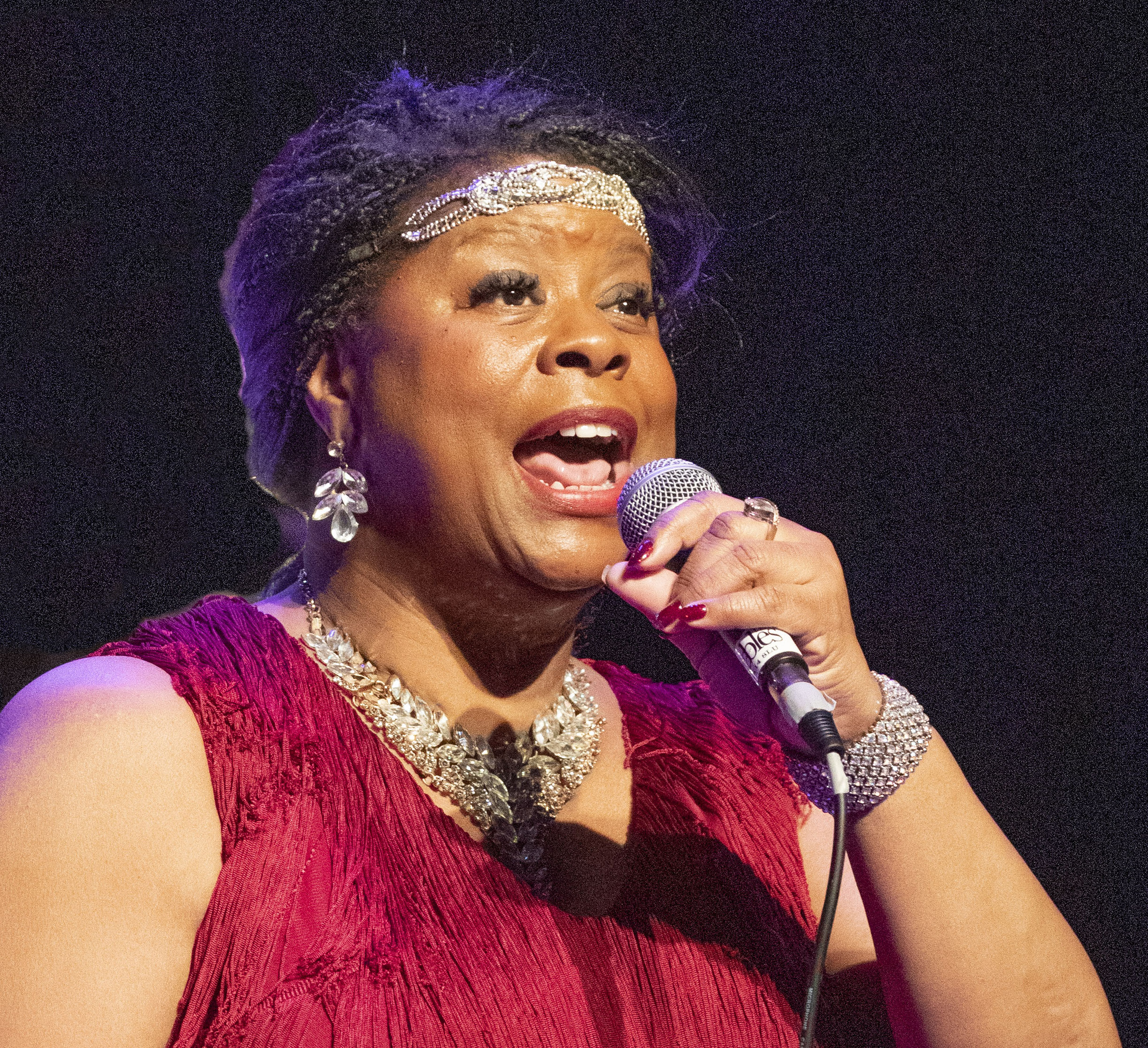 Harry Strutters Hot 5 Featuring Top USA Recording Star Marlene Hill