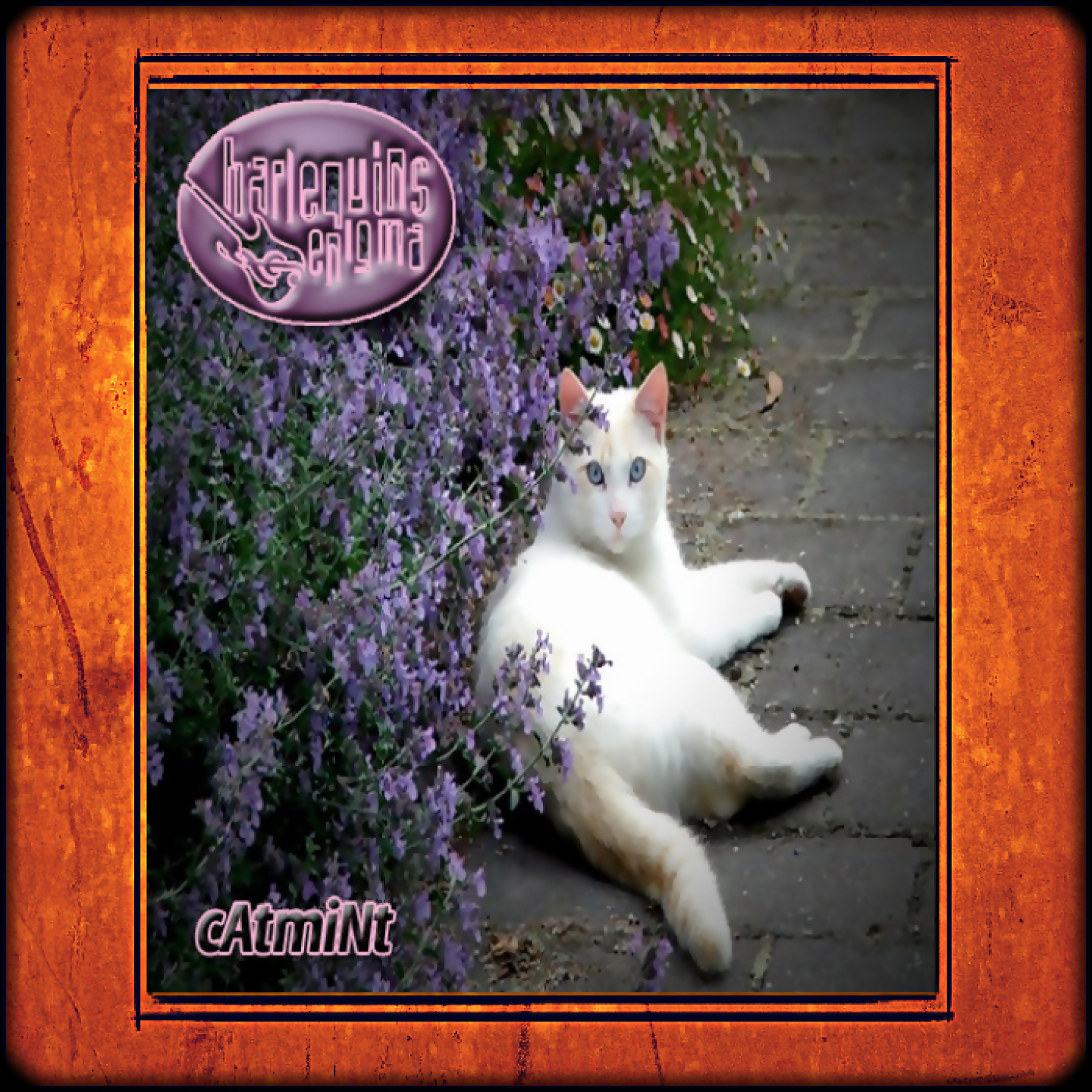 catmint cd cover @ bandcamp by harlequins enigma