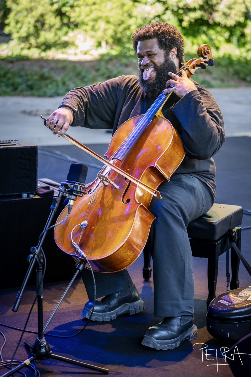 Canyon, Lester St. Louis — jazz photo by Petra Cvelbar | All About Jazz
