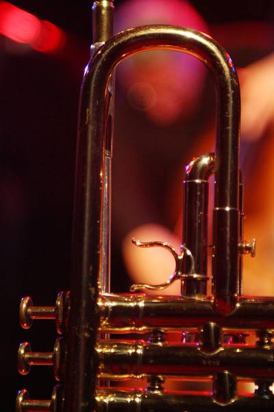 Steven Bernstein's Trumpet with "Mario Pavone - Orange" at the Sud Des Alpes, Amr, Geneva, Switzerland, 2006