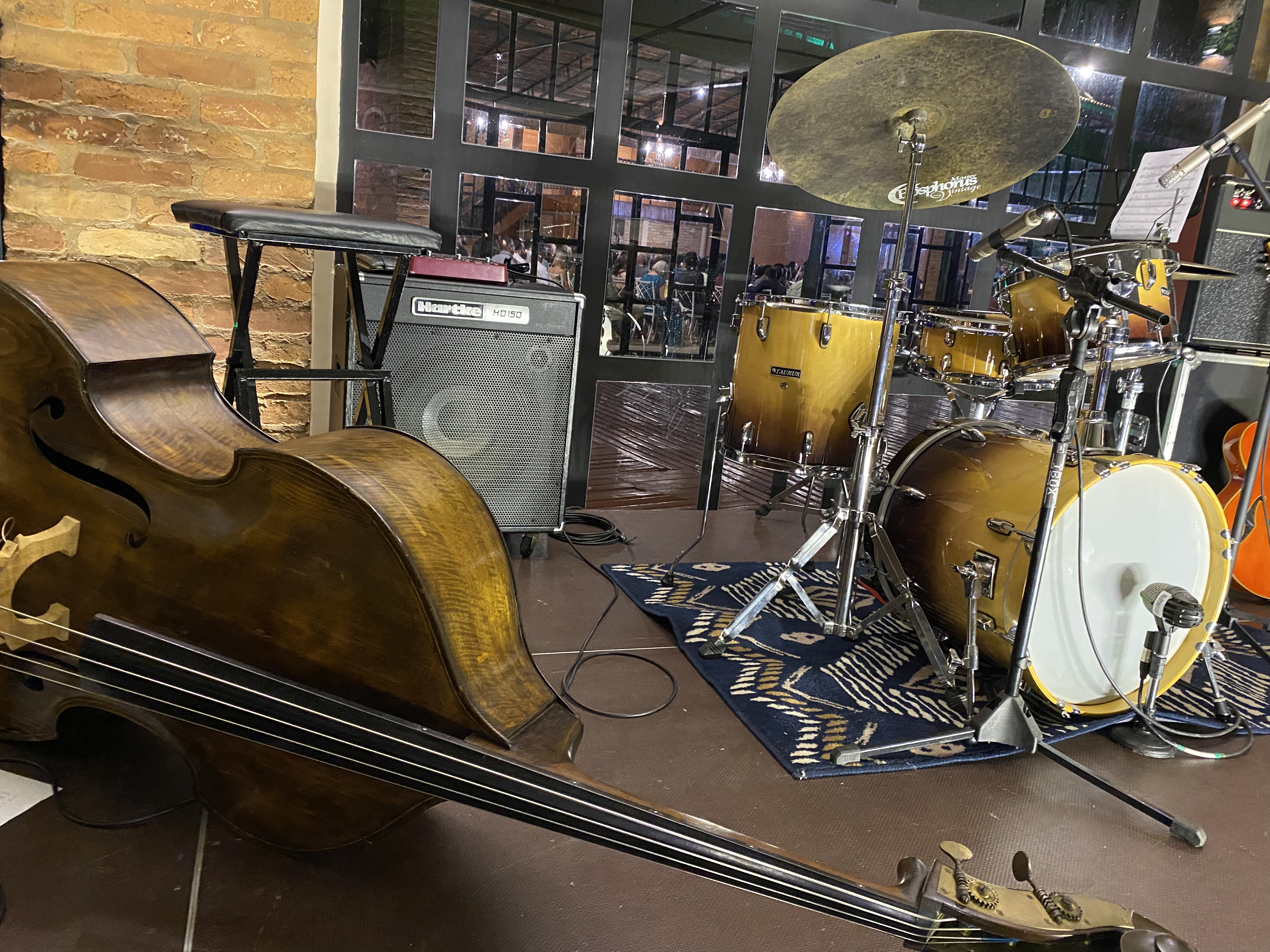 Bass player