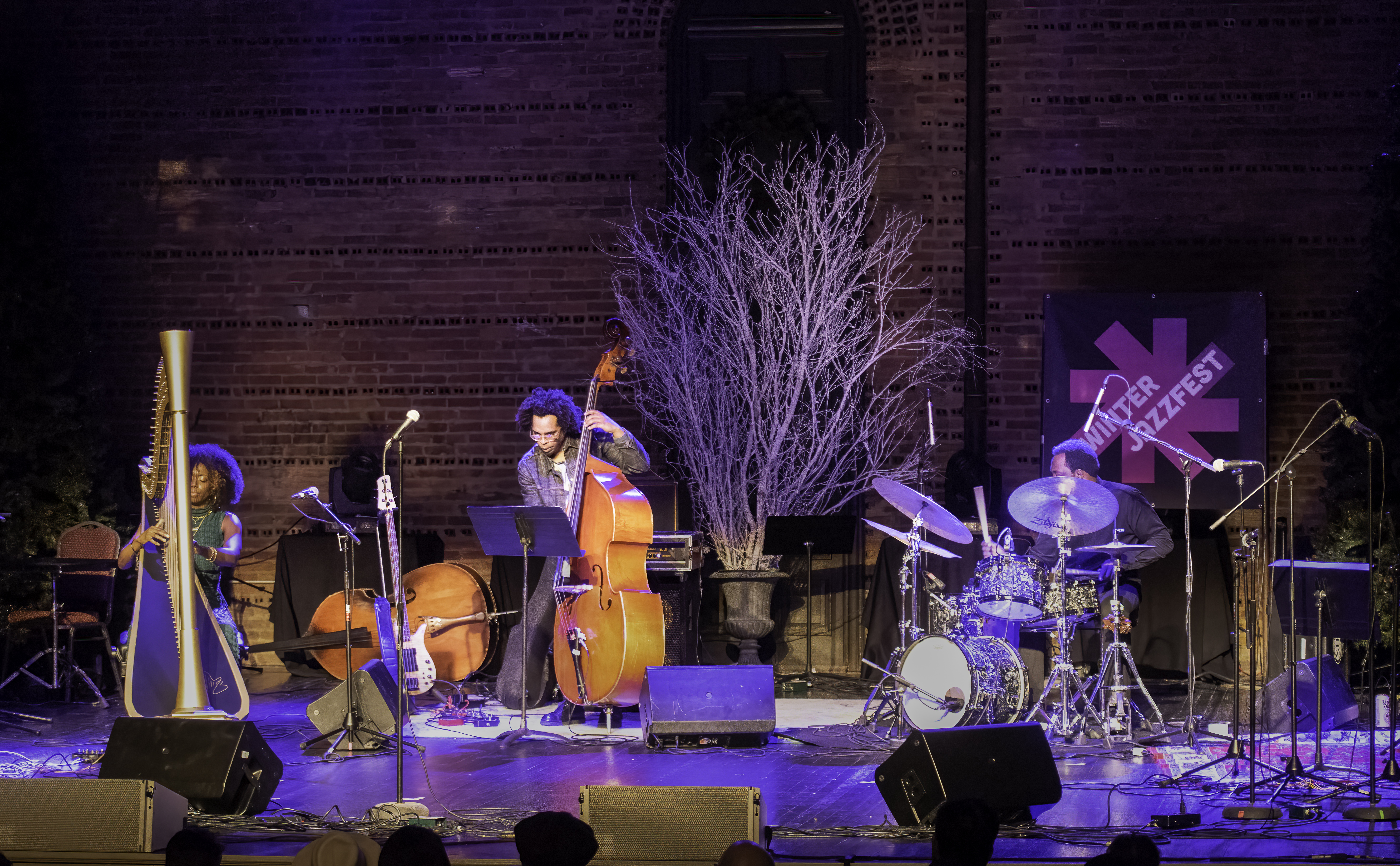 Brandee Younger, Rashaan Carter and Alan Mednard at the NYC Winter Jazz Festival 2023