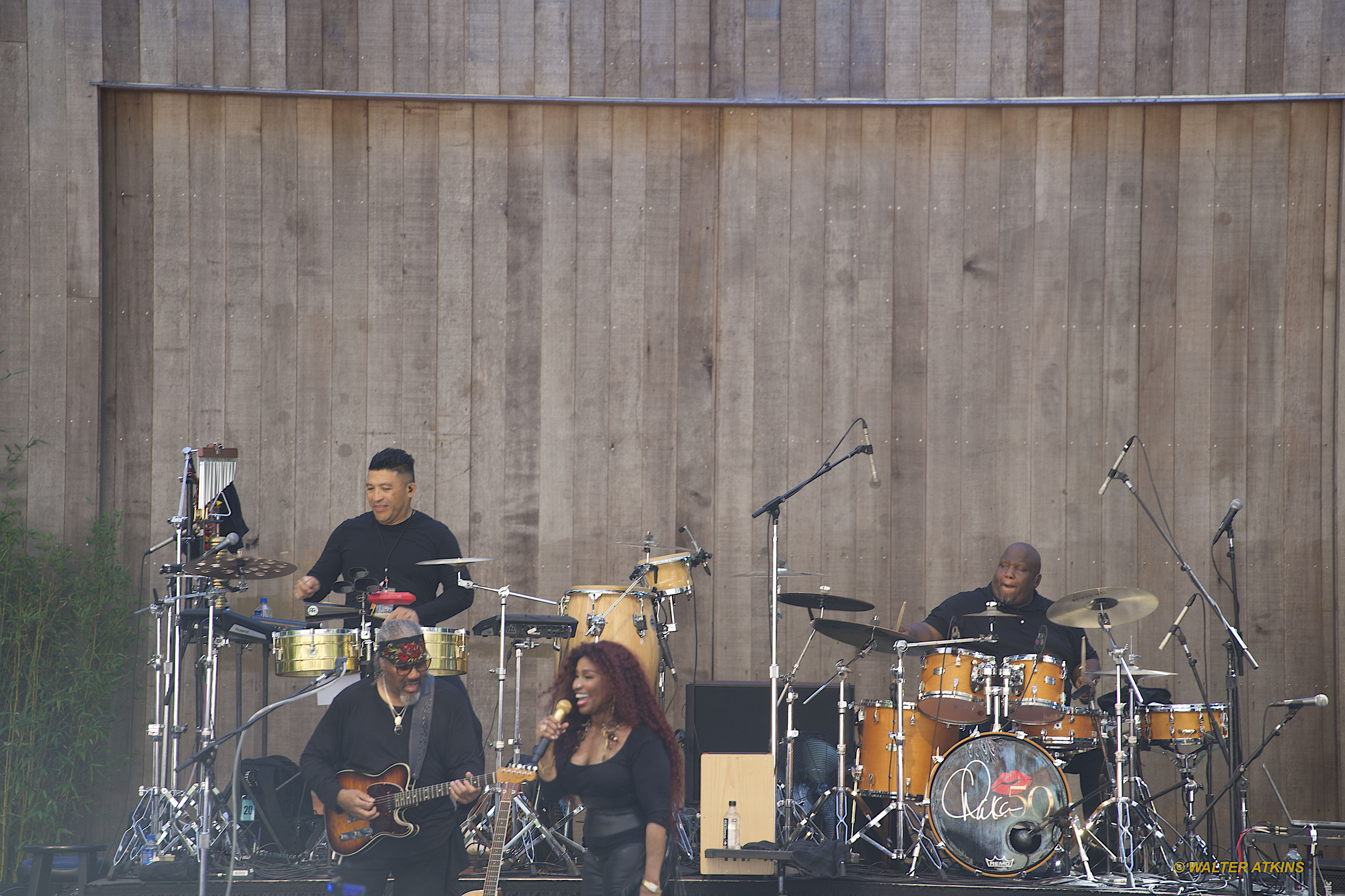 Chaka Khan at Stern Grove 2024