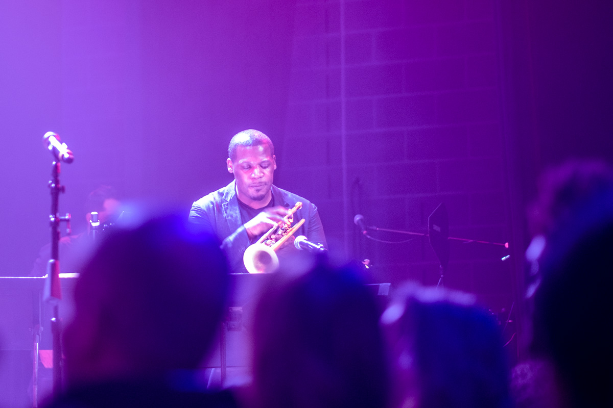 BRIC Jazz Festival NYC — jazz photo by Michele Palazzo | All About Jazz