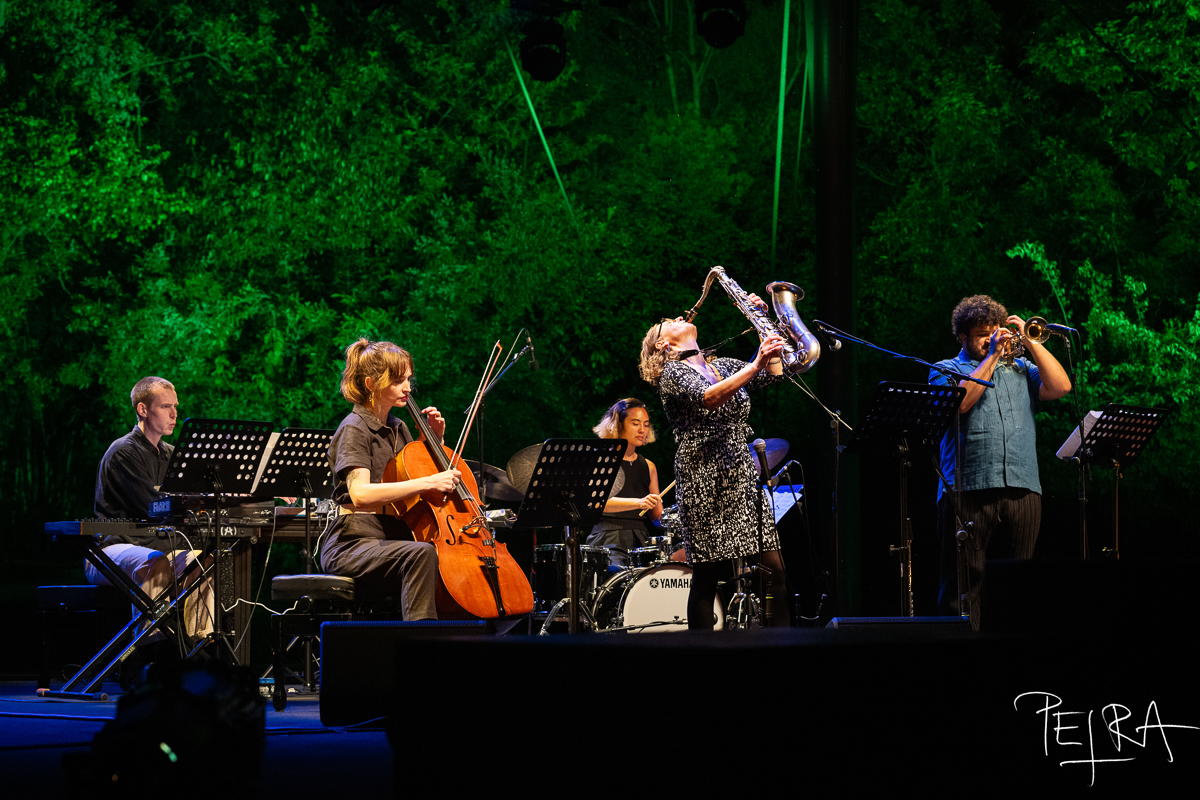 Anna Webber: Shimmer Wince — jazz photo by Petra Cvelbar | All About Jazz